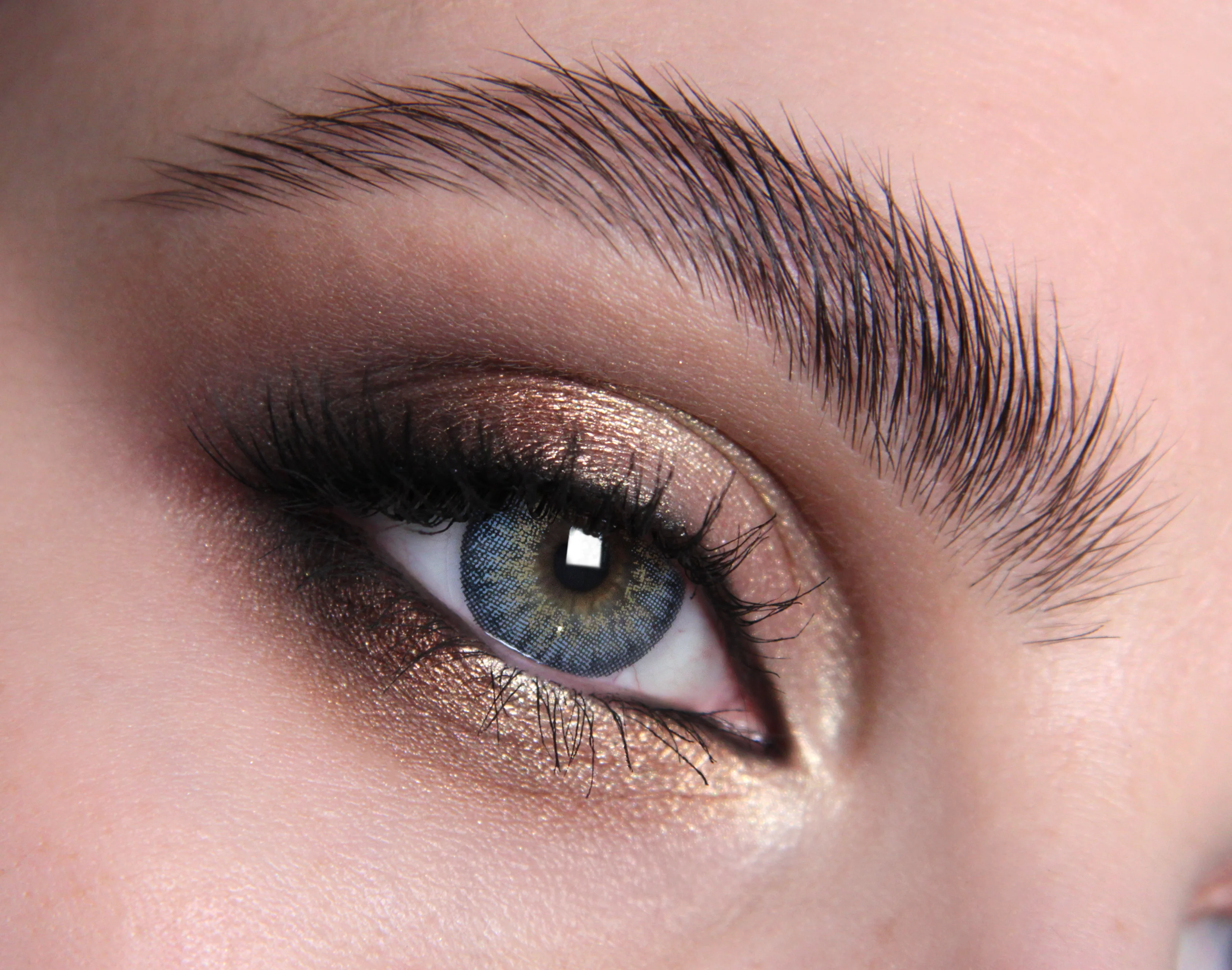 Homepage - New Lenses